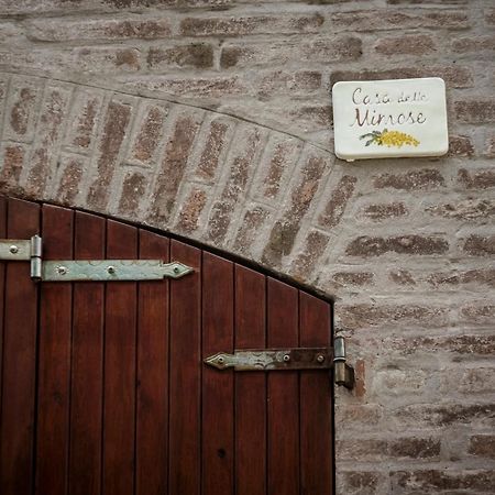Accademia Al Colle Lägenhet Bologna Exteriör bild